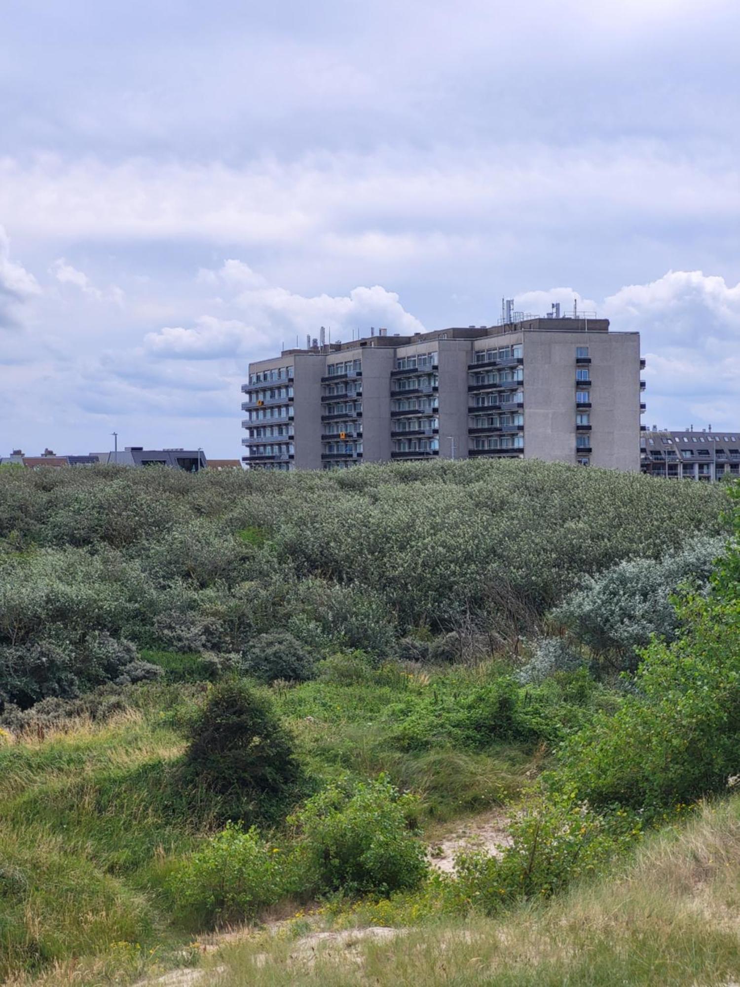 Studio With Sea View And Panoramic View In ブレーデネ エクステリア 写真